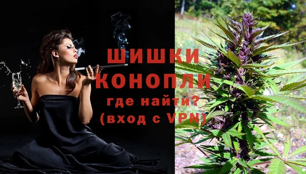 стаф Белоозёрский