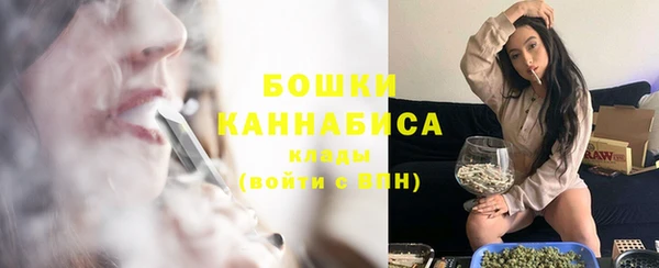 стаф Белоозёрский
