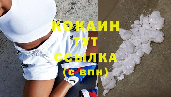 стаф Белоозёрский